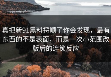 真把新91黑料捋顺了你会发现，最有东西的不是表面，而是一次小范围改版后的连锁反应