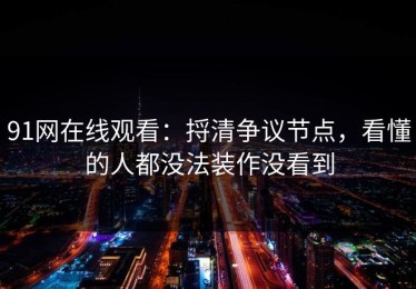 91网在线观看：捋清争议节点，看懂的人都没法装作没看到