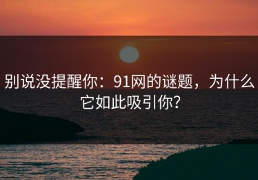 别说没提醒你：91网的谜题，为什么它如此吸引你？