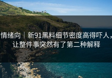 情绪向｜新91黑料细节密度高得吓人，让整件事突然有了第二种解释