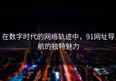 在数字时代的网络轨迹中，91网址导航的独特魅力
