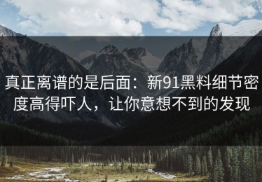 真正离谱的是后面：新91黑料细节密度高得吓人，让你意想不到的发现