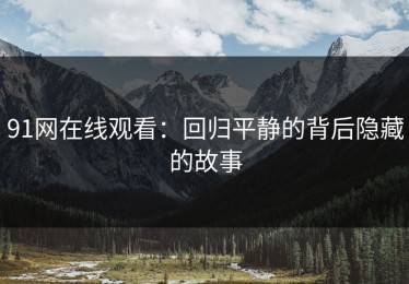 91网在线观看：回归平静的背后隐藏的故事