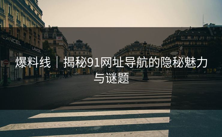 爆料线｜揭秘91网址导航的隐秘魅力与谜题