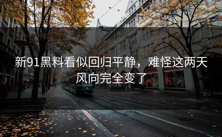 新91黑料看似回归平静，难怪这两天风向完全变了