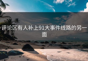 评论区有人补上91大事件线路的另一面