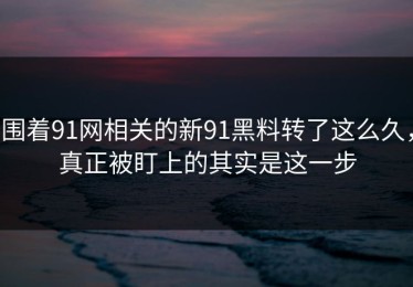 围着91网相关的新91黑料转了这么久，真正被盯上的其实是这一步