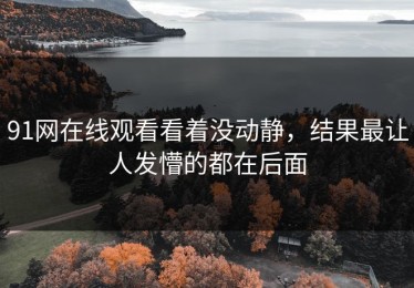 91网在线观看看着没动静，结果最让人发懵的都在后面