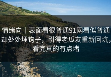 情绪向｜表面看很普通91网看似普通却处处埋钩子，引得老瓜友重新回坑，看完真的有点堵