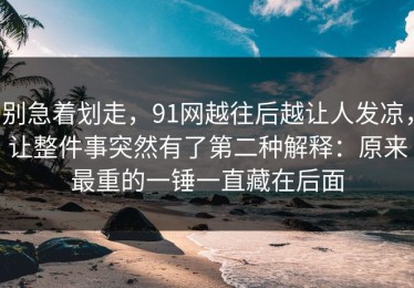 别急着划走，91网越往后越让人发凉，让整件事突然有了第二种解释：原来最重的一锤一直藏在后面