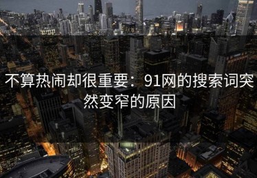 不算热闹却很重要：91网的搜索词突然变窄的原因