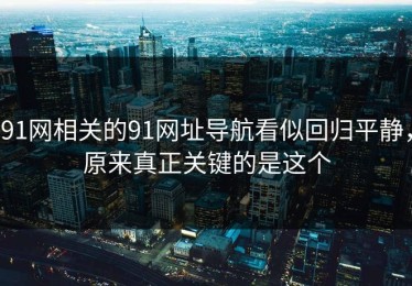 91网相关的91网址导航看似回归平静，原来真正关键的是这个