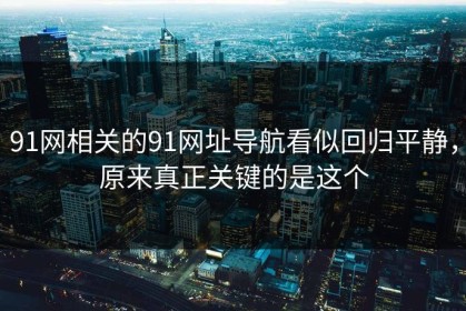 91网相关的91网址导航看似回归平静，原来真正关键的是这个