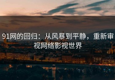 91网的回归：从风暴到平静，重新审视网络影视世界