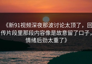 《新91视频深夜那波讨论太顶了，回传片段里那段内容像是故意留了口子，情绪后劲太重了》