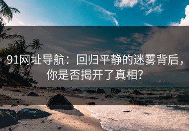 91网址导航：回归平静的迷雾背后，你是否揭开了真相？
