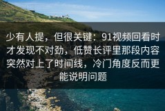 少有人提，但很关键：91视频回看时才发现不对劲，低赞长评里那段内容突然对上了时间线，冷门角度反而更能说明问题