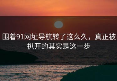 围着91网址导航转了这么久，真正被扒开的其实是这一步