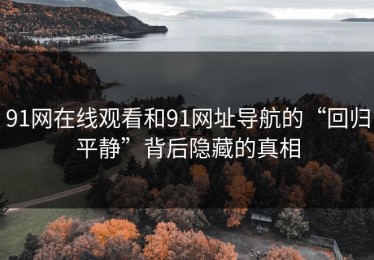 91网在线观看和91网址导航的“回归平静”背后隐藏的真相