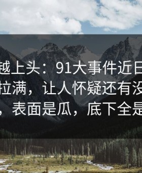 越冷门越上头：91大事件近日把人情绪直接拉满，让人怀疑还有没放出的内容，表面是瓜，底下全是情绪