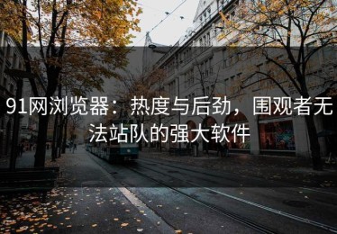 91网浏览器：热度与后劲，围观者无法站队的强大软件