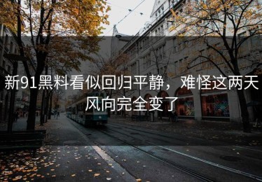 新91黑料看似回归平静，难怪这两天风向完全变了