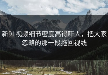新91视频细节密度高得吓人，把大家忽略的那一段拖回视线