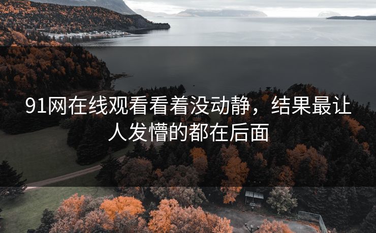 91网在线观看看着没动静,结果最让人发懵的都在后面 91网在线观看看着没动静,结果最让人发懵的都在后面