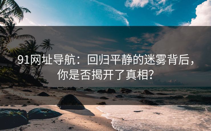 91网址导航：回归平静的迷雾背后，你是否揭开了真相？
