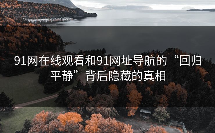 91网在线观看和91网址导航的“回归平静”背后隐藏的真相