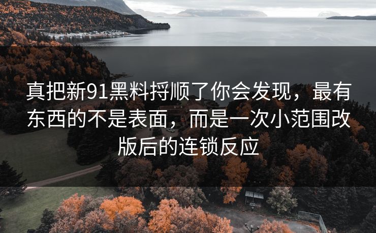 真把新91黑料捋顺了你会发现，最有东西的不是表面，而是一次小范围改版后的连锁反应